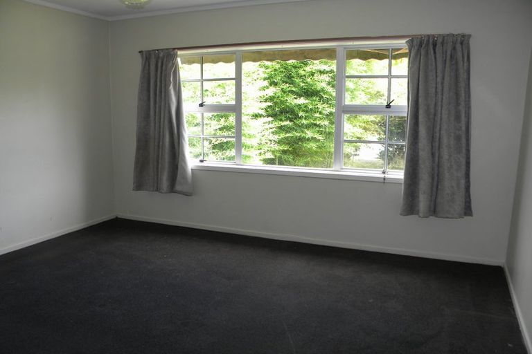 Photo of property in 41 Kowhai Street, Hamilton Lake, Hamilton, 3204