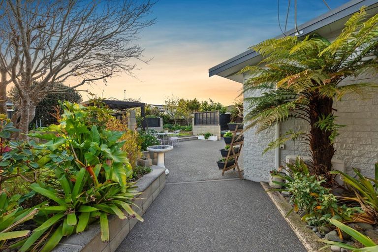 Photo of property in 29 Whitaker Street, Otumoetai, Tauranga, 3110