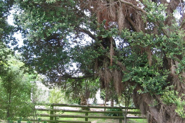 Photo of property in 25 Lysnar Street, Okitu, Gisborne, 4010