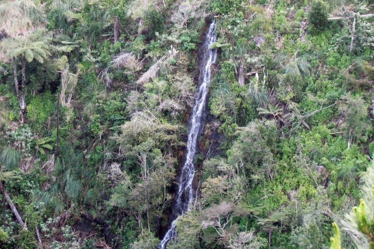 Photo of property in 316b Waitao Road, Waitao, Tauranga, 3175