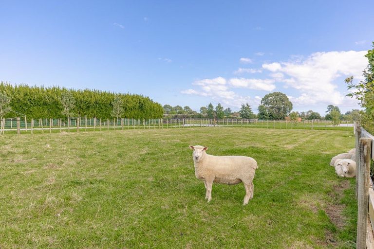 Photo of property in 35 Saint Oswalds Drive, Brunswick, 4571