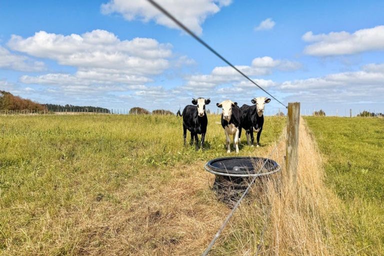 Photo of property in 3125 State Highway 1, Sanson, Palmerston North, 4479