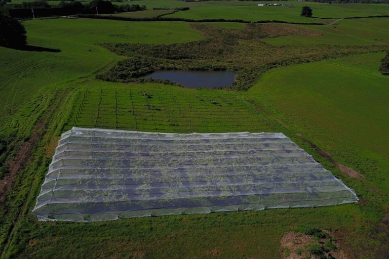 Photo of property in 160 Batty Road, Kingseat, Papakura, 2580