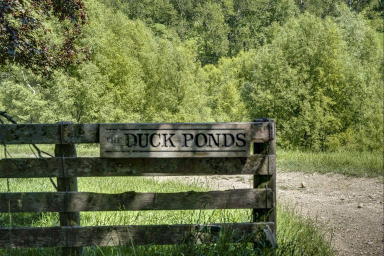 Photo of property in 2412 Kahuranaki Road, Elsthorpe, Havelock North, 4295