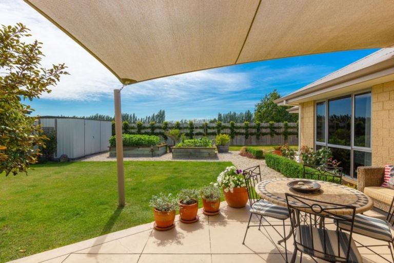Photo of property in 4 Puketea Place, Redwoodtown, Blenheim, 7201