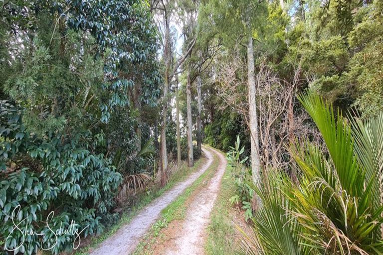 Photo of property in 105 Gorge Road, Maungaturoto, 0520