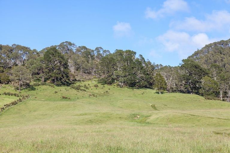 Photo of property in 94 Hahei Beach Road, Hahei, Whitianga, 3591