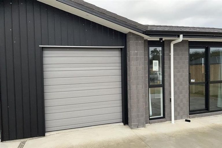 Photo of property in 111 Hinemoa Street, Levin, 5510