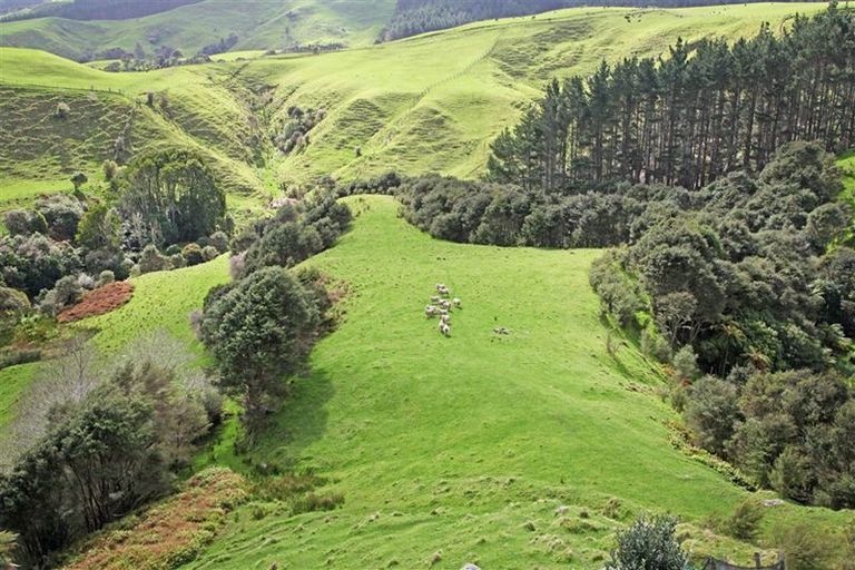 Photo of property in 92 Brewster Road, Pukekawa, Tuakau, 2696