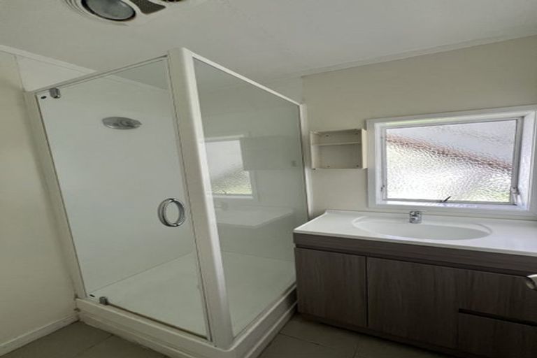 Photo of property in 13 Hellyers Street, Birkdale, Auckland, 0626