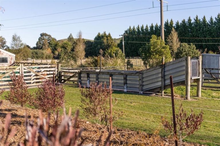 Photo of property in 1629 State Highway 2, Kiriwhakapapa, Masterton, 5881