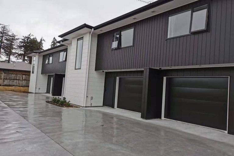 Photo of property in 59 Carrington Avenue, Silverdale, Hamilton, 3216