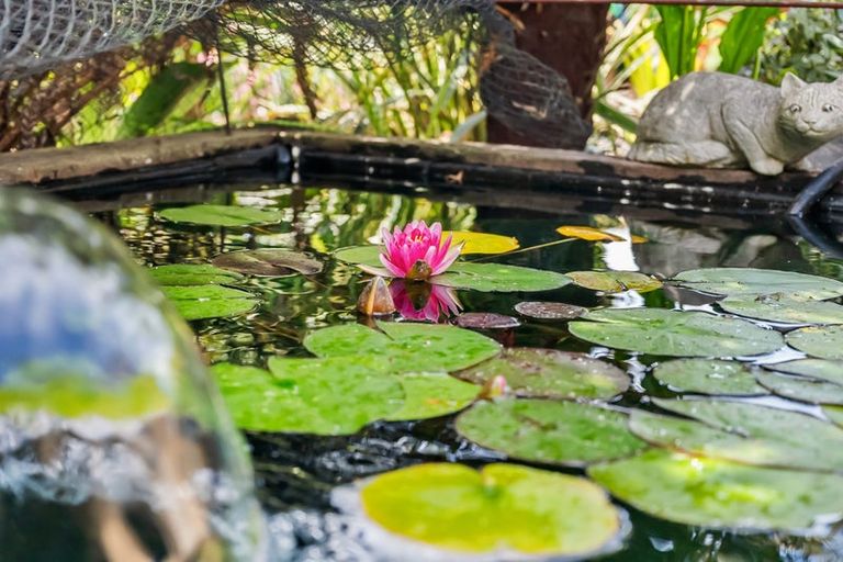 Photo of property in 18 Timara Avenue, Tikipunga, Whangarei, 0112