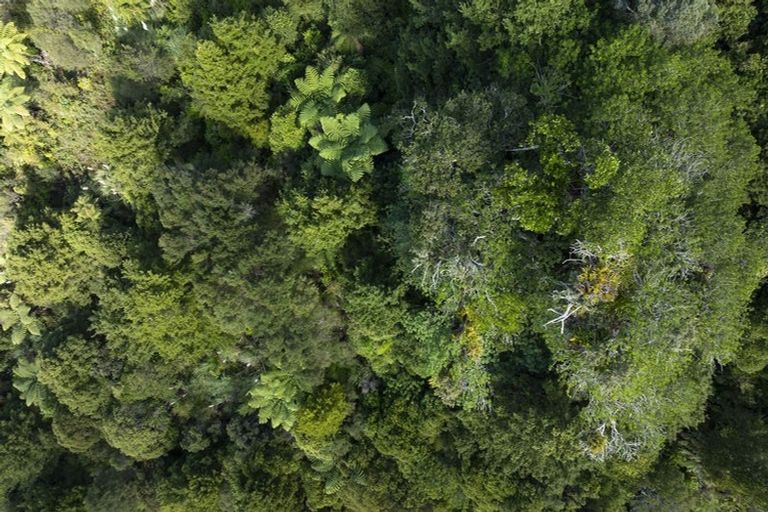 Photo of property in 1238 Fern Flat Road, Peria, 0479