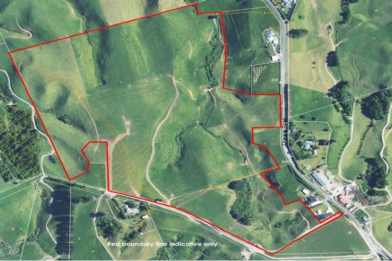 Photo of property in 888a Otaraoa Road, Tikorangi, Waitara, 4383