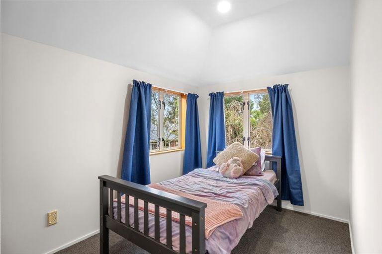 Photo of property in 24a Buffon Street, Waltham, Christchurch, 8023