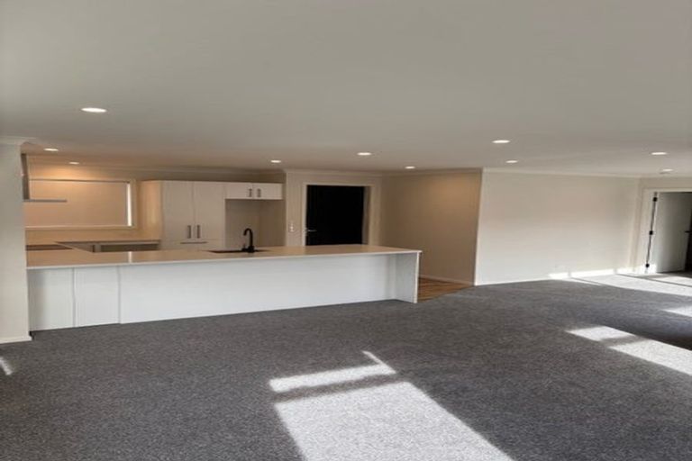 Photo of property in 115a Limbrick Street, Terrace End, Palmerston North, 4410