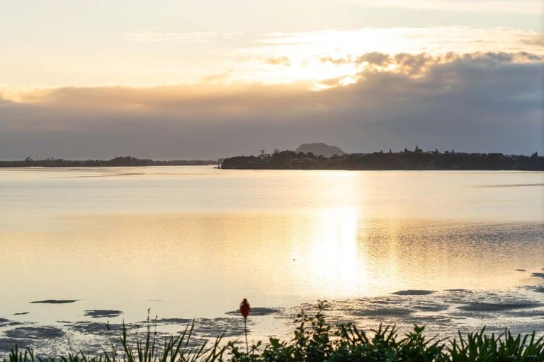 Photo of property in 340d Pahoia Road, Whakamarama, Tauranga, 3172