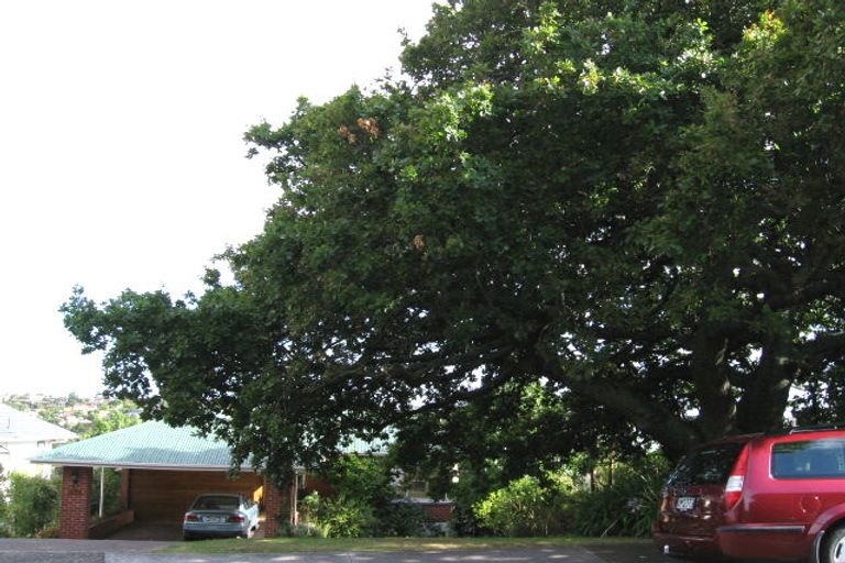 Photo of property in 19 Alton Avenue, Hillcrest, Auckland, 0627