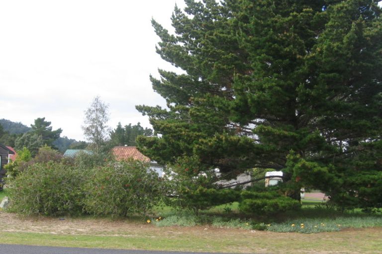 Photo of property in 118 Waimaire Avenue, Matarangi, Whitianga, 3592