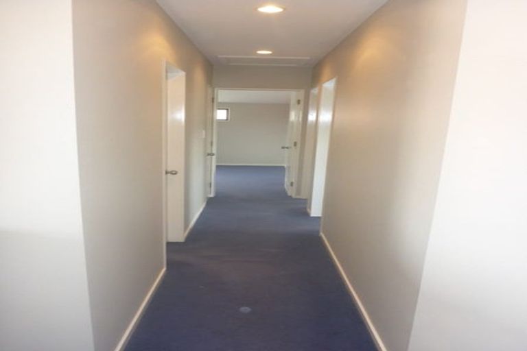 Photo of property in 53a Tauhinu Road, Miramar, Wellington, 6022