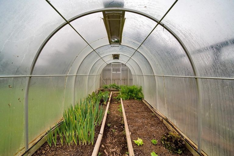 Photo of property in 5 Glasgow Street, Hawera, 4610