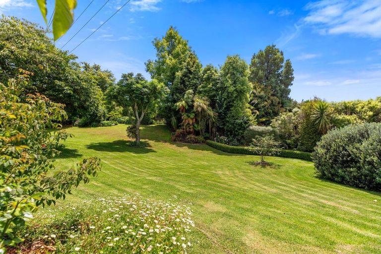 Photo of property in 13 Wallace Place, Tauriko, Tauranga, 3110