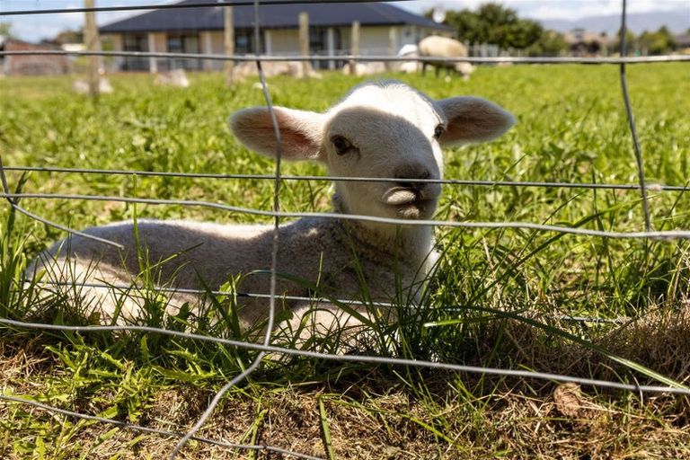 Photo of property in 11 River Terrace, Renwick, 7204