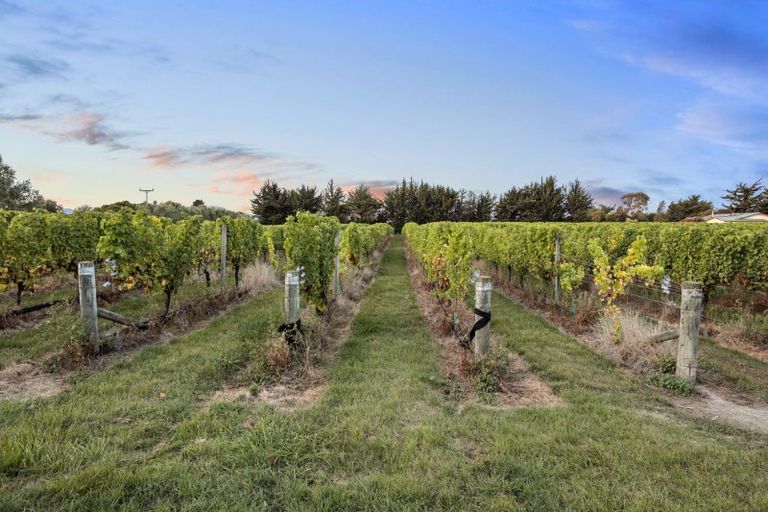 Photo of property in 686 Dillons Point Road, Dillons Point, Blenheim, 7273