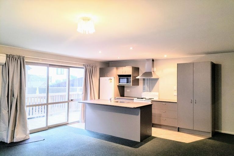 Photo of property in 45a Lees Street, Dunedin Central, Dunedin, 9016