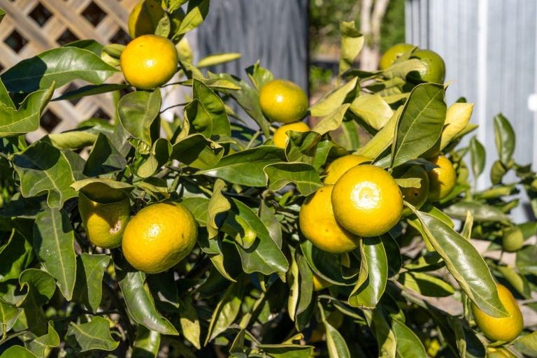 Photo of property in 68 Hiwipango Road, Belgrove, Wakefield, 7095