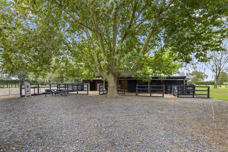 Photo of property in 64 Reynolds Road, Rotoorangi, Cambridge, 3495