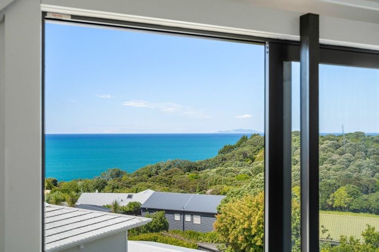 Photo of property in 441 Onemana Drive, Onemana, Whangamata, 3691