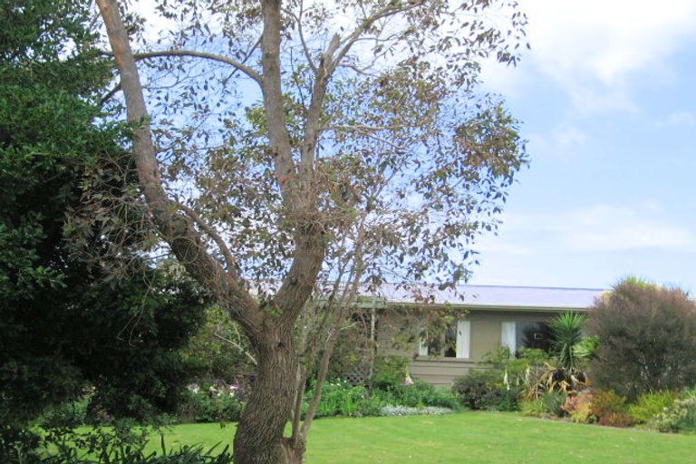 Photo of property in 17 Lysnar Street, Okitu, Gisborne, 4010