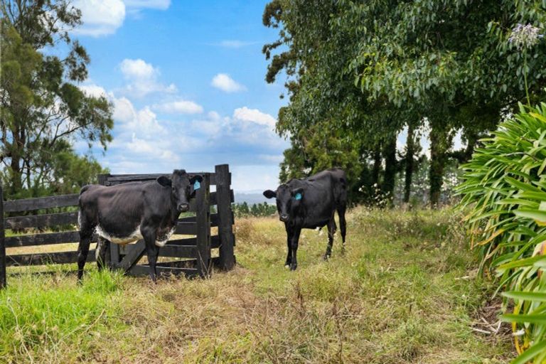 Photo of property in 352 Kauri Road, Onewhero, 2697