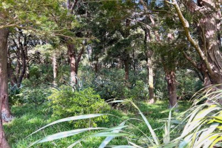 Photo of property in 341 Maharahara Road, Dannevirke, 4972