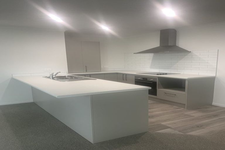 Photo of property in 14b Hinau Street, Maeroa, Hamilton, 3200