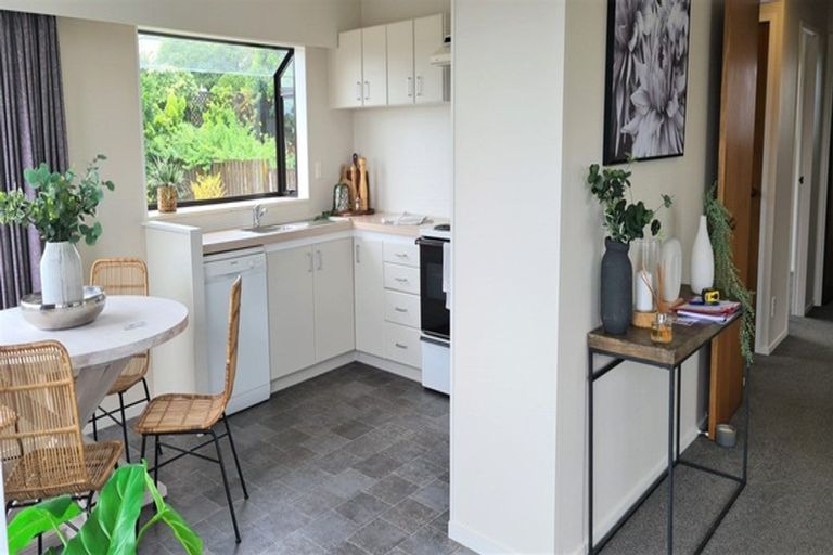 Photo of property in 15b Hairini Street, Hairini, Tauranga, 3112