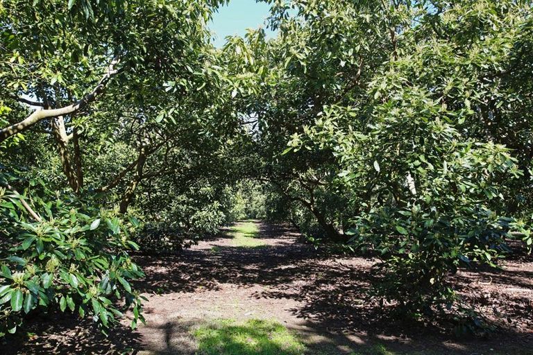 Photo of property in 349 Glenbrook Beach Road, Glenbrook, Waiuku, 2681