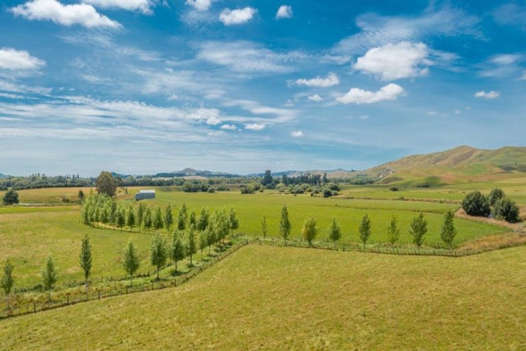 Photo of property in 359 Mangatarata Road, Waipukurau, 4285
