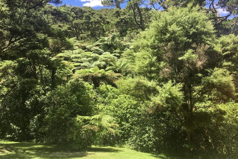 Photo of property in 89 Bethells Road, Waitakere, Auckland, 0782