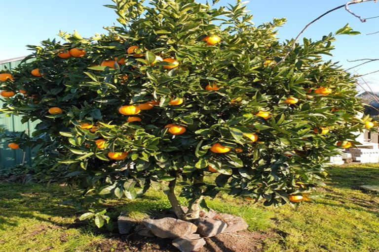 Photo of property in 21 Farmer Road, Waitoa, 3310