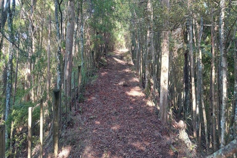 Photo of property in 91 Sharyn Nelson Drive, Haruru, 0204