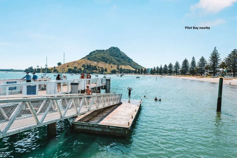 Photo of property in 16b Matai Street, Mount Maunganui, 3116