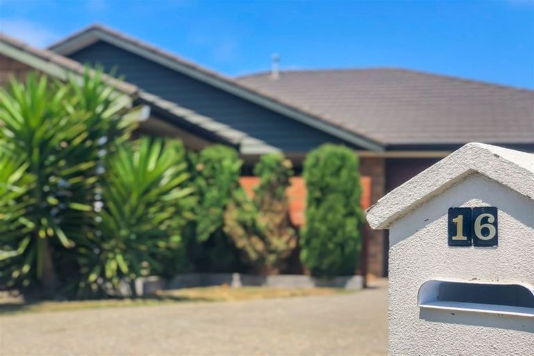 Photo of property in 16 Manhattan Court, Paraparaumu Beach, Paraparaumu, 5032
