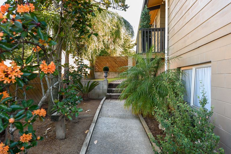 Photo of property in 9 Bayview Street, Te Puke, 3119