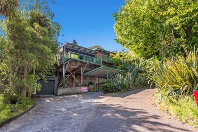 Photo of property in 19 Newcastle Road, Dinsdale, Hamilton, 3204