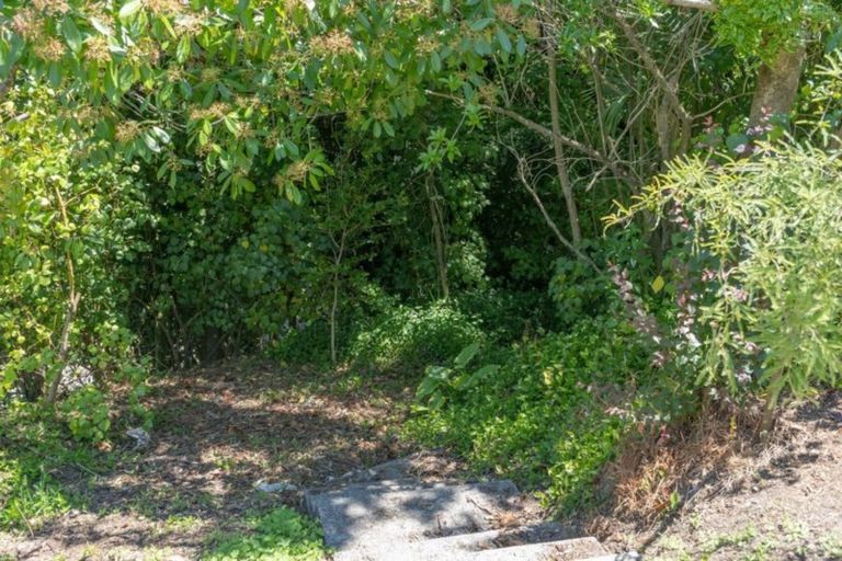 Photo of property in 39 Manuka Street, Lansdowne, Masterton, 5810