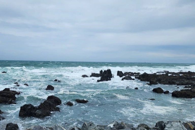 Photo of property in 10a Rarangi Way, Owhiro Bay, Wellington, 6023