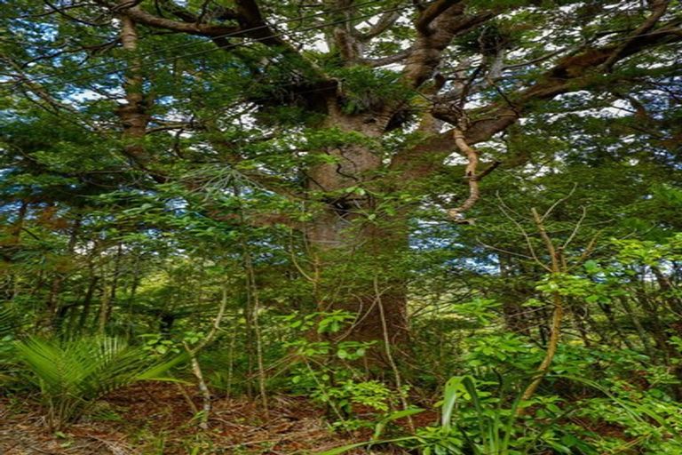 Photo of property in 160 Opanuku Road, Henderson Valley, Auckland, 0612